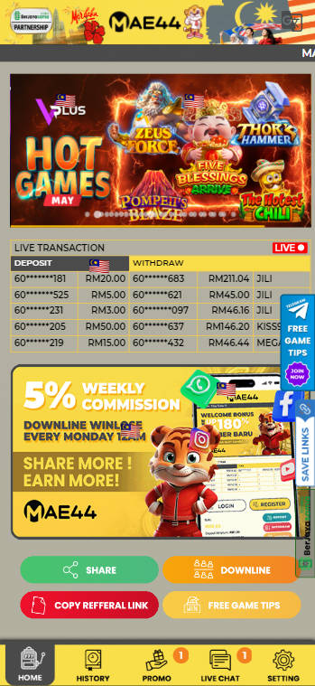 MAE44 - Homepage - 711cuci1
